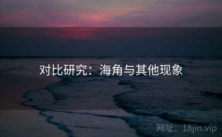 对比研究：海角与其他现象