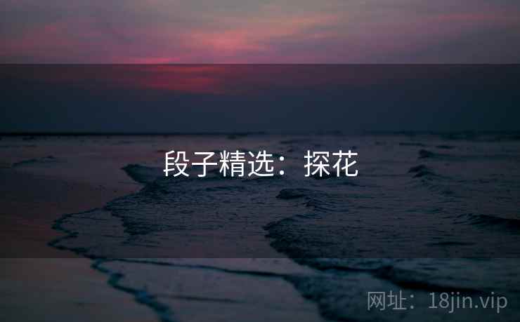 段子精选：探花