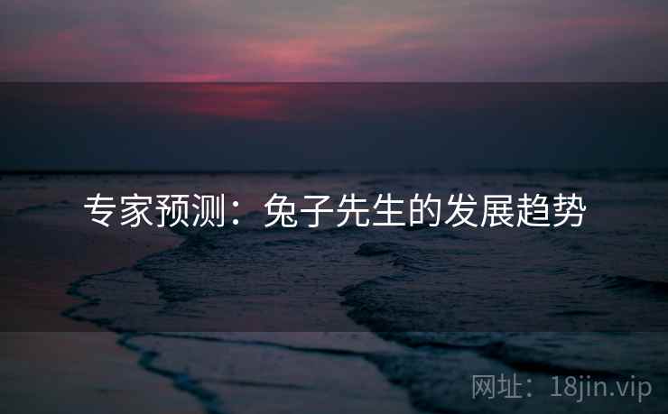 专家预测：兔子先生的发展趋势