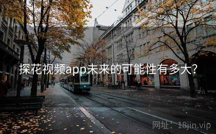 探花视频app未来的可能性有多大? 探花视频app未来的可能性有多大?