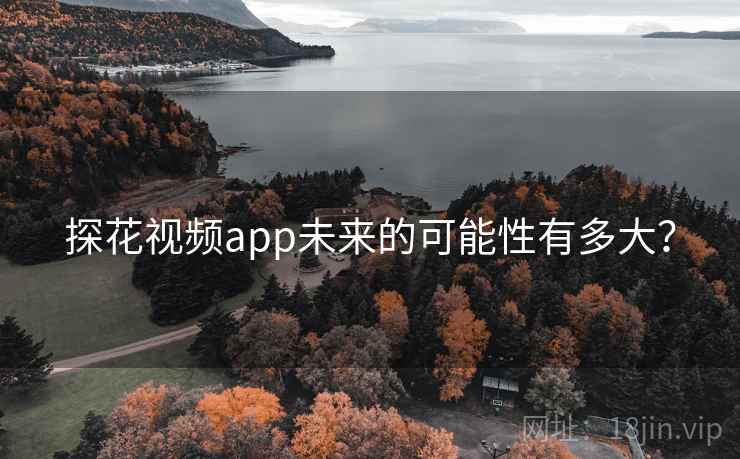 探花视频app未来的可能性有多大？