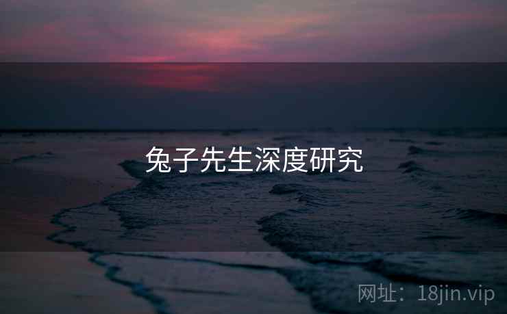 兔子先生深度研究