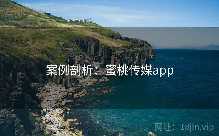 案例剖析：蜜桃传媒app