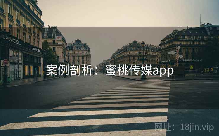 案例剖析：蜜桃传媒app